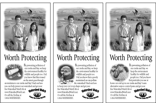 Watershed Watch Ads