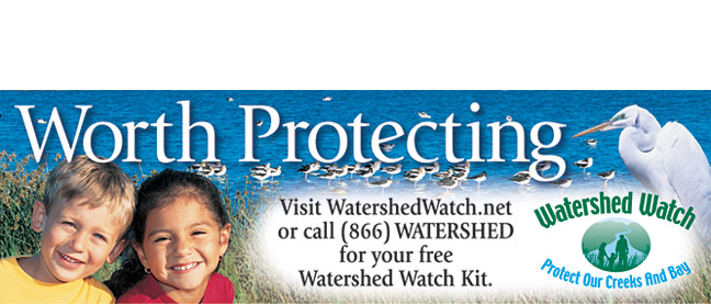 Watershed Watch Transit Ad