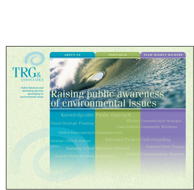 TRG & Associates Website